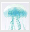 поделка зеленая медуза